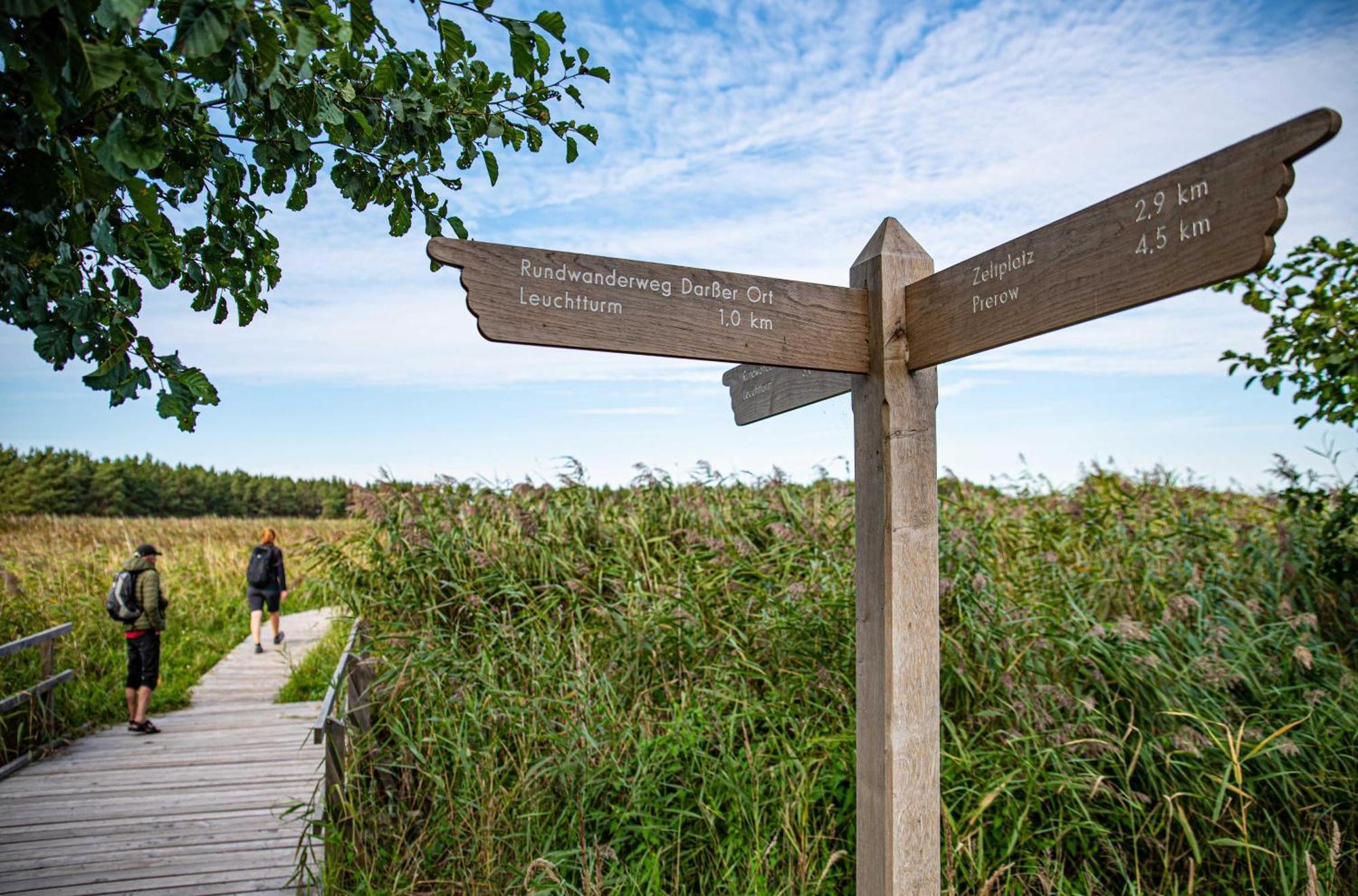 Kranichtanz An Der Seebruecke Zingst Esterno foto