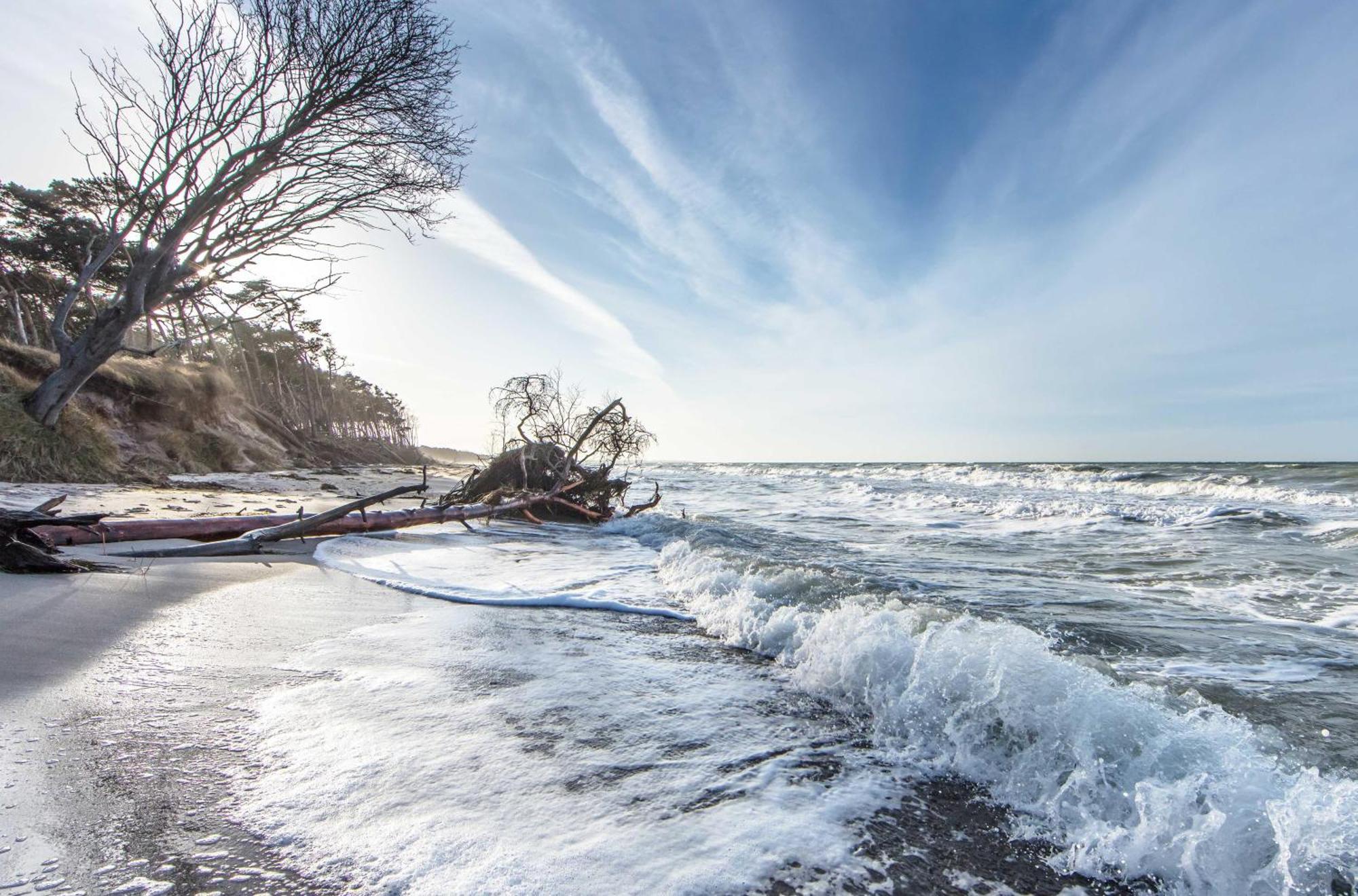 Kranichtanz An Der Seebruecke Zingst Esterno foto